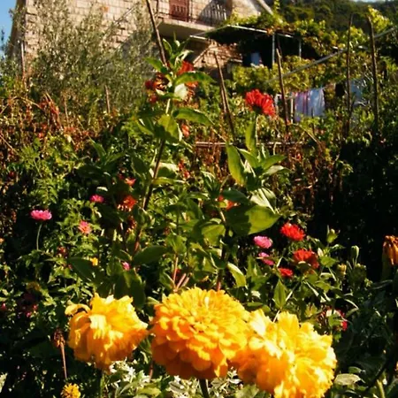 Ivan And Marica ゲストハウス 3*