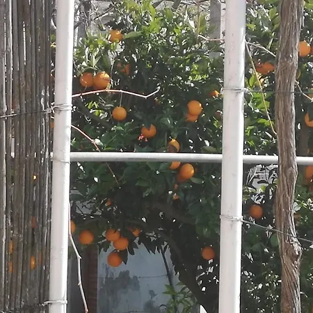 Ivan And Marica 3* Lopud